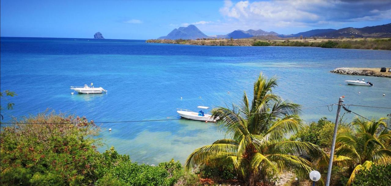 T2 Les Pieds Dans L'Eau Face A La Mer Des Caraibes Sainte Luce - Trois Rivieres Exteriér fotografie