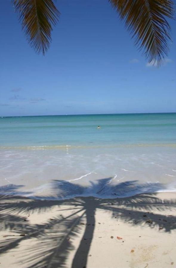 T2 Les Pieds Dans L'Eau Face A La Mer Des Caraibes Sainte Luce - Trois Rivieres Exteriér fotografie
