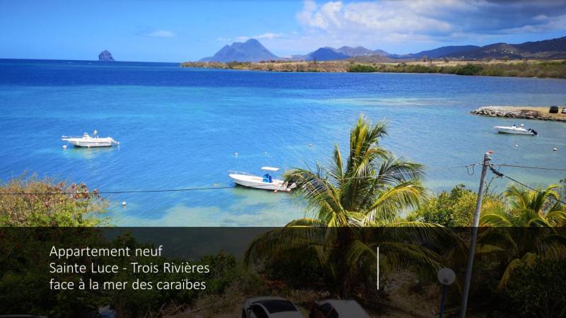 T2 Les Pieds Dans L'Eau Face A La Mer Des Caraibes Sainte Luce - Trois Rivieres Exteriér fotografie